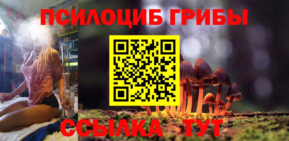 Старая Купавна  Галлюциногенные грибы GOLDEN TEACHER  Вход с VPN 