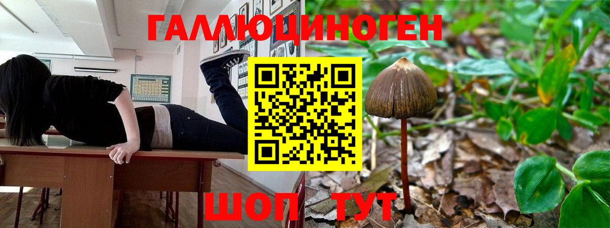 Галлюциногенные грибы Cubensis Старая Купавна
